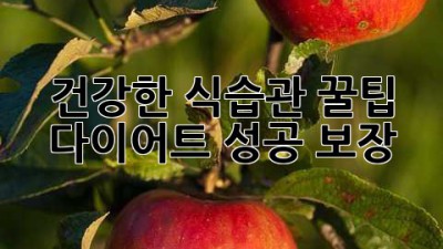 건강한 식습관 꿀팁🍯 다이어트 성공 보장! ✨