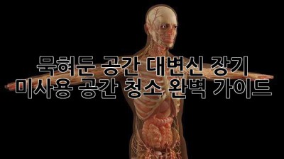 묵혀둔 공간 대변신✨ 장기 미사용 공간 청소 완벽 가이드